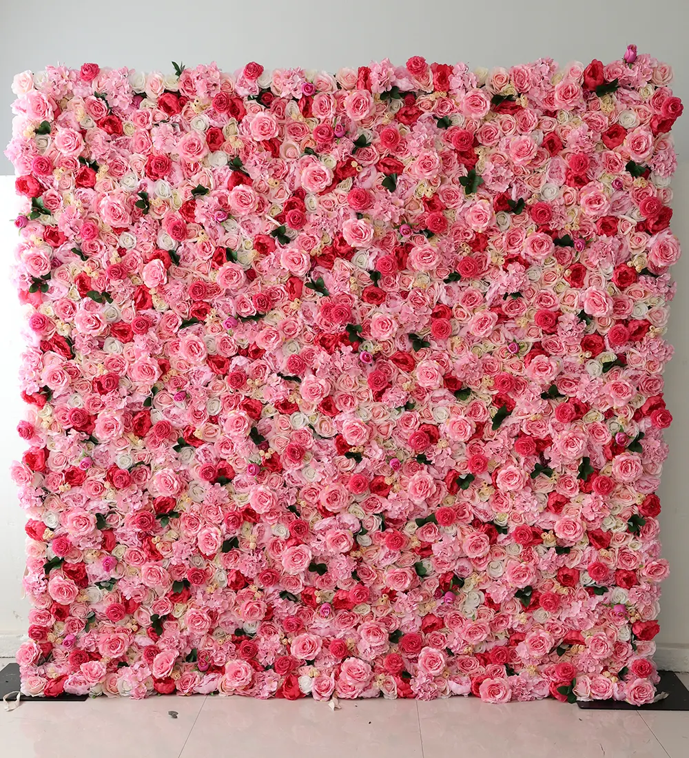 American Lady — I am text block